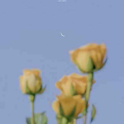 魔幻大作战放置游戏下载