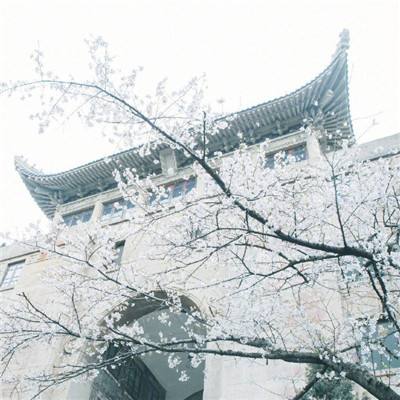 傲剑情缘百度版下载