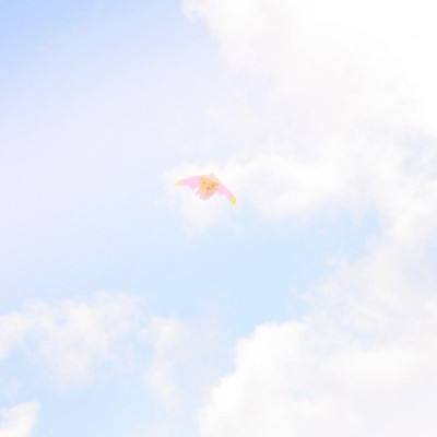 英雄归来破解版下载